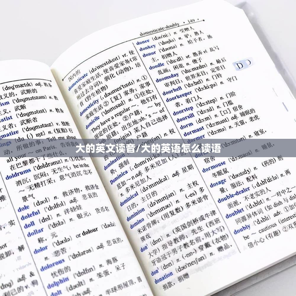 大的英文读音/大的英语怎么读语