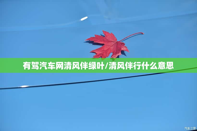 有驾汽车网清风伴绿叶/清风伴行什么意思