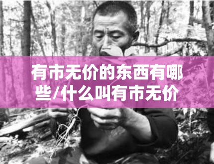 有市无价的东西有哪些/什么叫有市无价