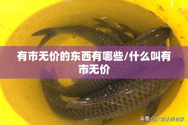 有市无价的东西有哪些/什么叫有市无价