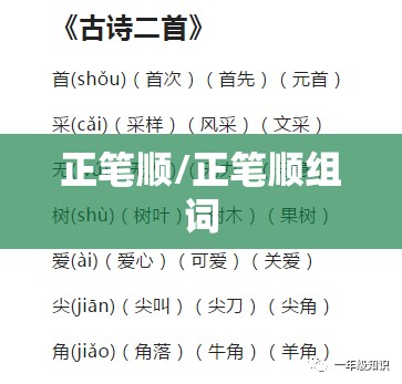 正笔顺/正笔顺组词