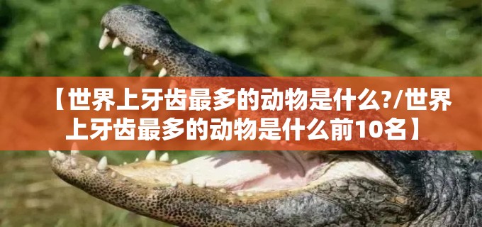 【世界上牙齿最多的动物是什么?/世界上牙齿最多的动物是什么前10名】