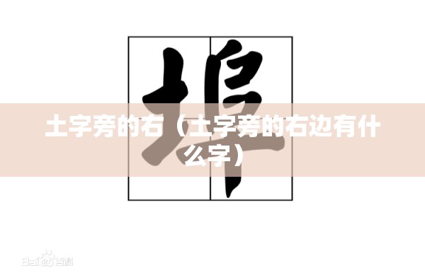 土字旁的右（土字旁的右边有什么字）