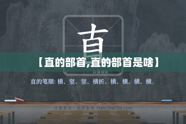 【直的部首,直的部首是啥】