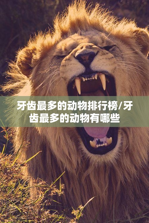 牙齿最多的动物排行榜/牙齿最多的动物有哪些