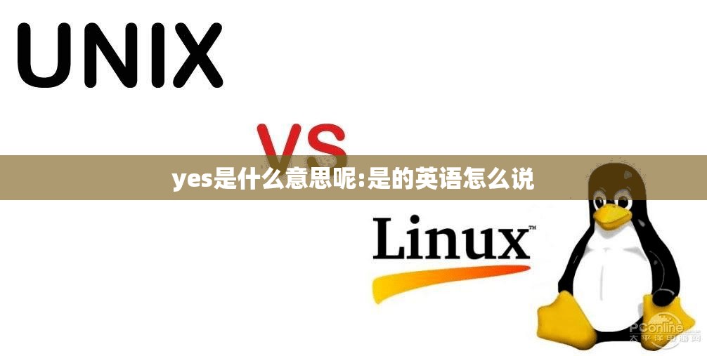 yes是什么意思呢:是的英语怎么说