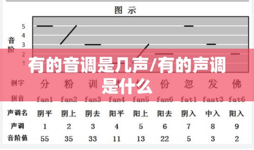 有的音调是几声/有的声调是什么