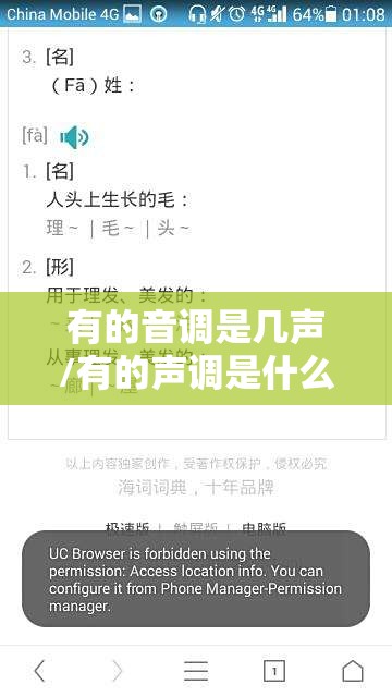 有的音调是几声/有的声调是什么