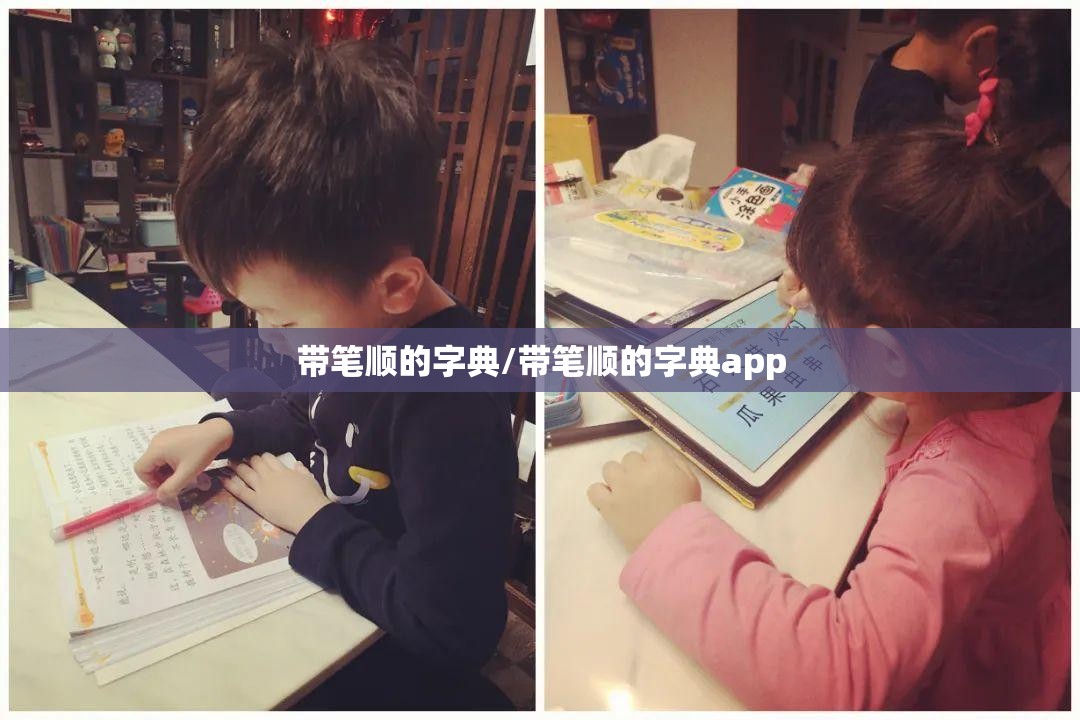 带笔顺的字典/带笔顺的字典app