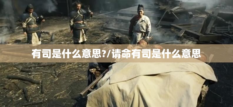 有司是什么意思?/请命有司是什么意思