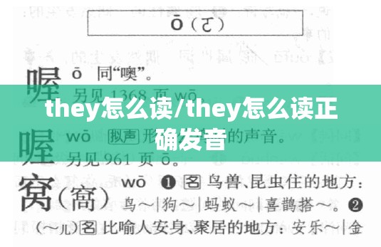 they怎么读/they怎么读正确发音