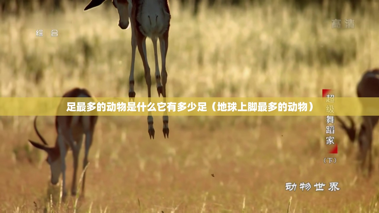 足最多的动物是什么它有多少足（地球上脚最多的动物）