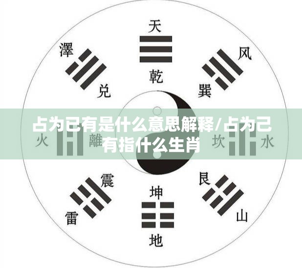 占为已有是什么意思解释/占为己有指什么生肖