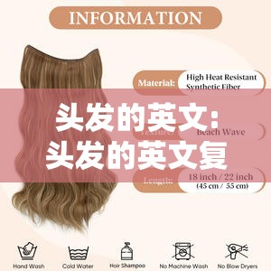 头发的英文:头发的英文复数
