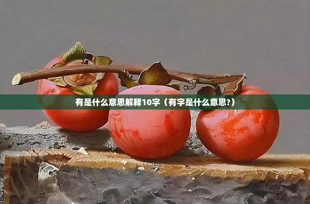 有是什么意思解释10字（有字是什么意思?）