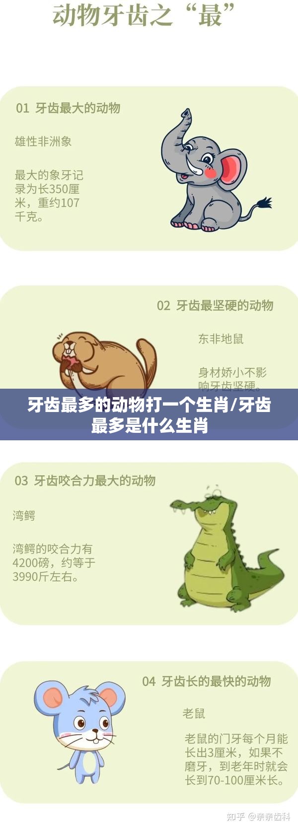 牙齿最多的动物打一个生肖/牙齿最多是什么生肖
