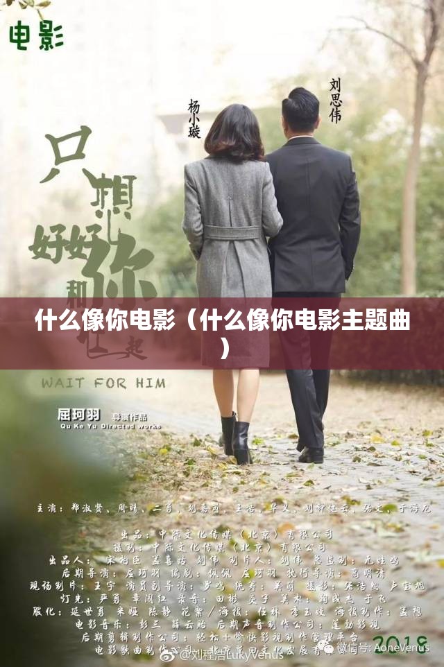 什么像你电影（什么像你电影主题曲）