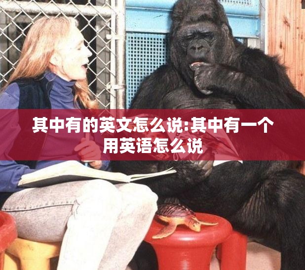 其中有的英文怎么说:其中有一个用英语怎么说