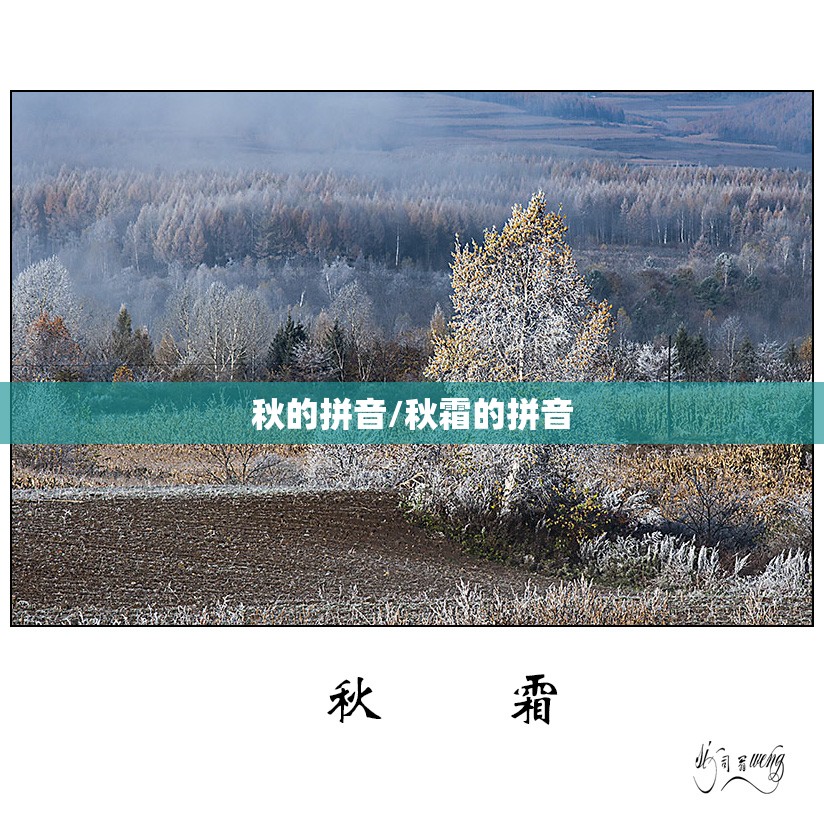 秋的拼音/秋霜的拼音