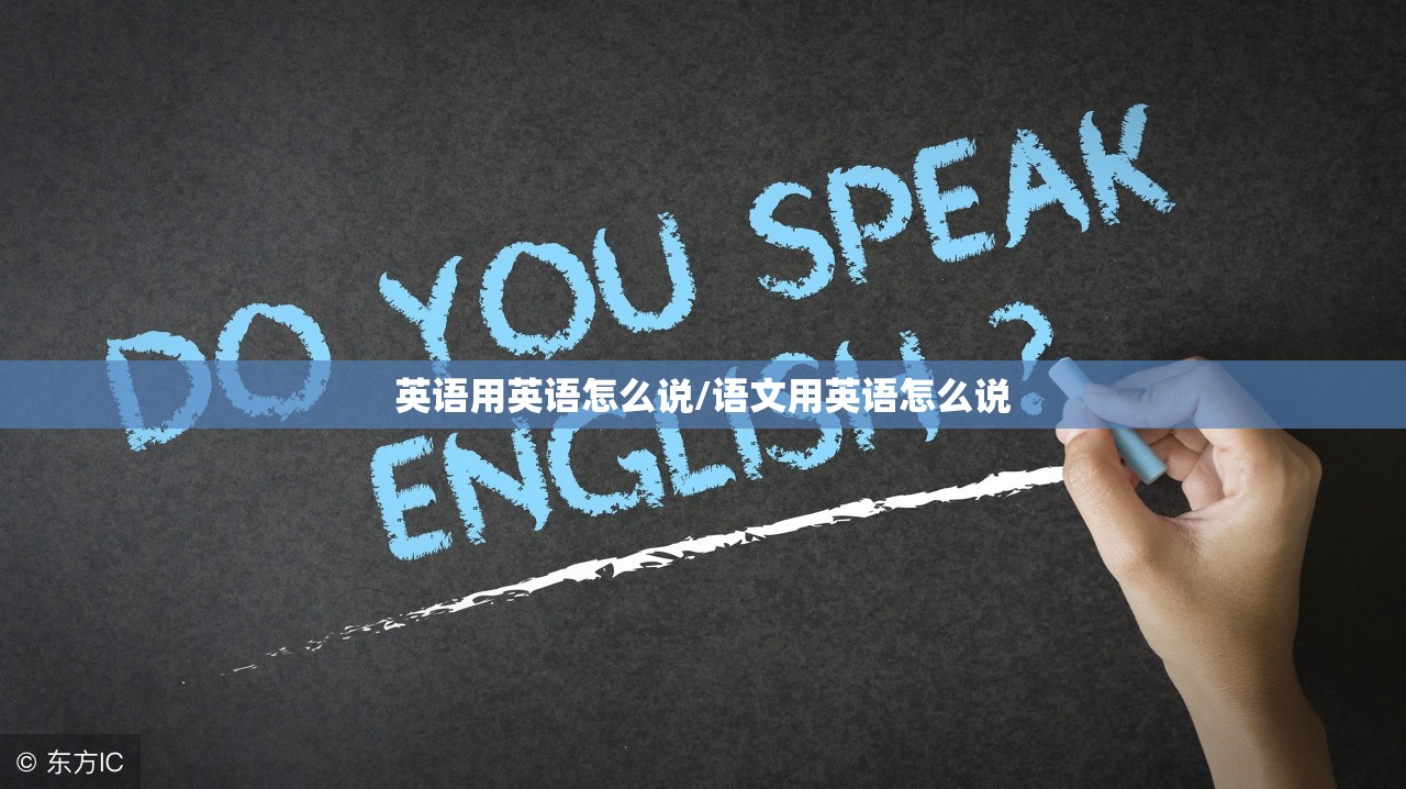 英语用英语怎么说/语文用英语怎么说