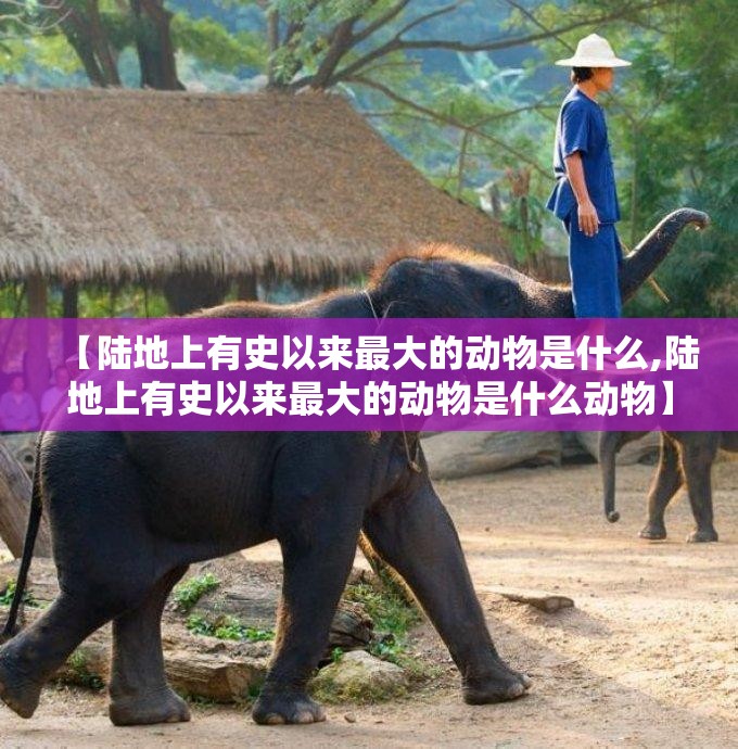 【陆地上有史以来最大的动物是什么,陆地上有史以来最大的动物是什么动物】