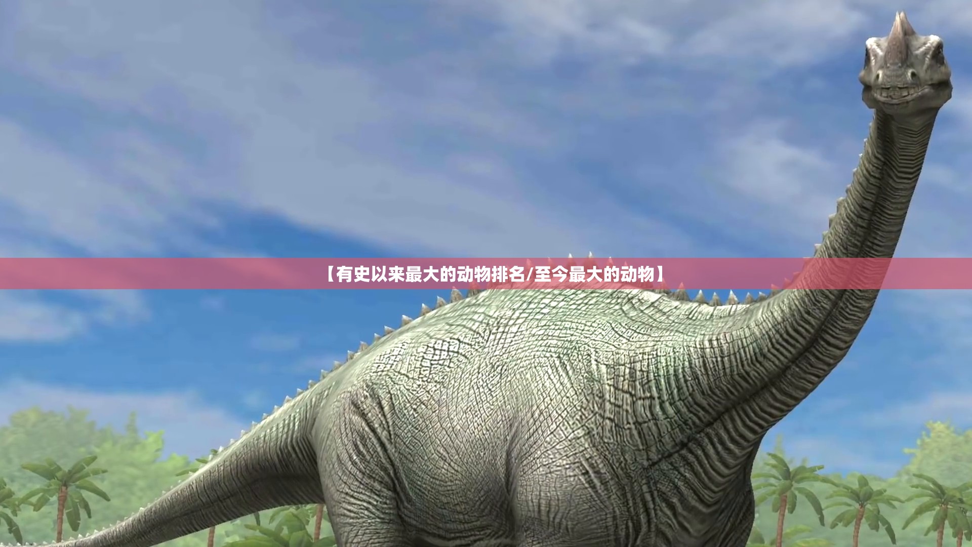 【有史以来最大的动物排名/至今最大的动物】
