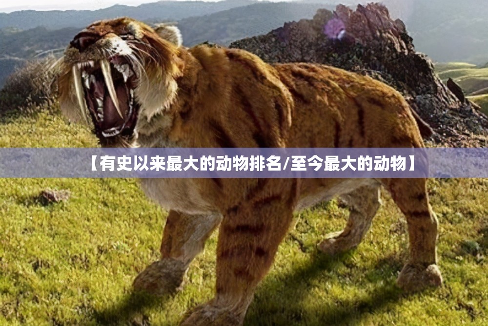 【有史以来最大的动物排名/至今最大的动物】