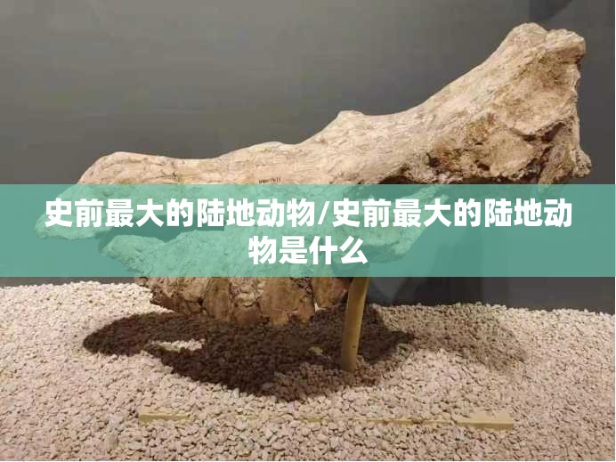 史前最大的陆地动物/史前最大的陆地动物是什么