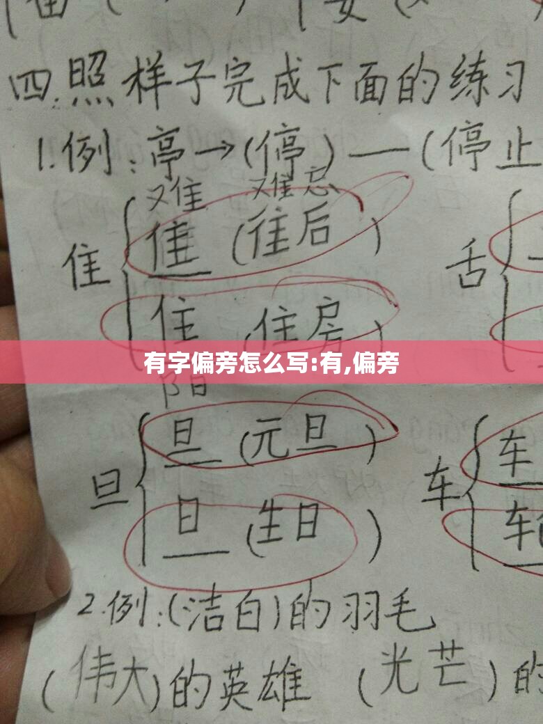 有字偏旁怎么写:有,偏旁