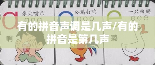 有的拼音声调是几声/有的拼音是第几声