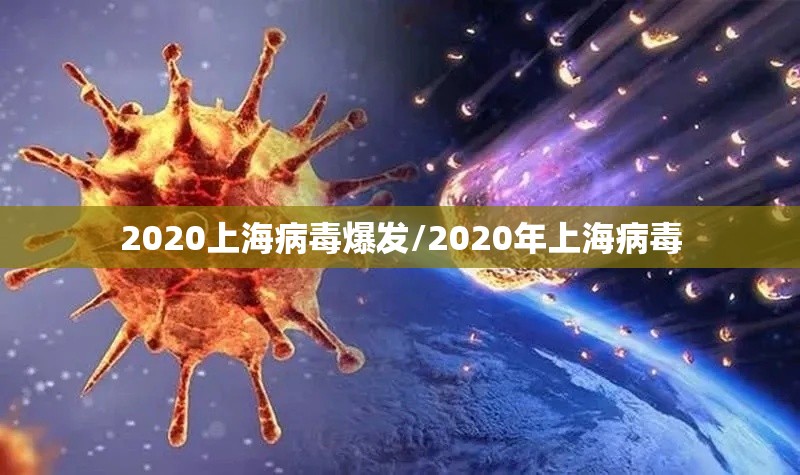 2020上海病毒爆发/2020年上海病毒