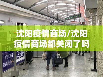 沈阳疫情商场/沈阳疫情商场都关闭了吗