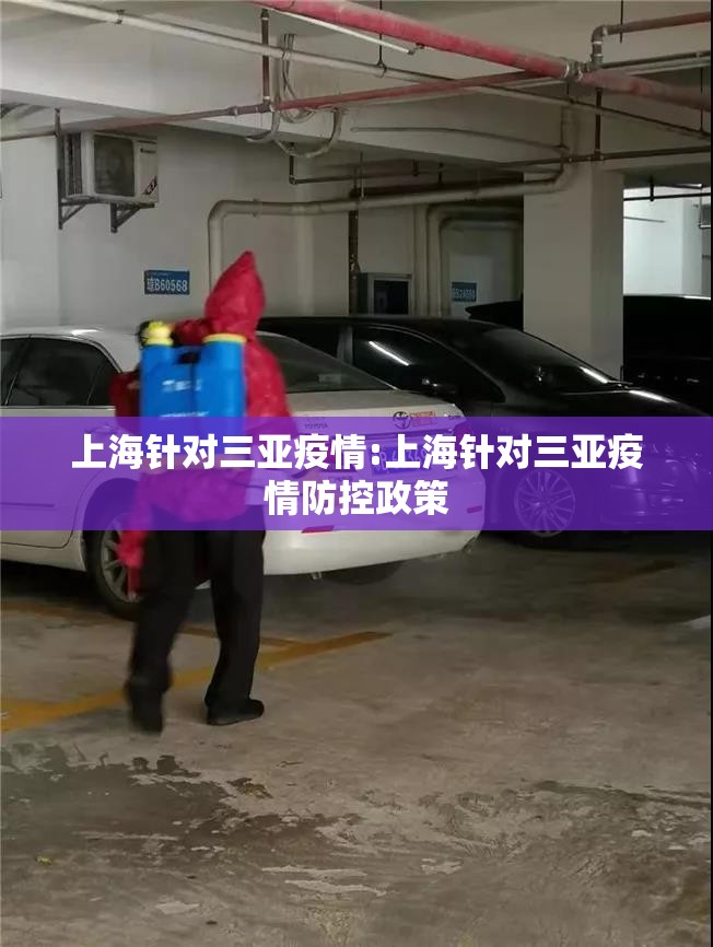 上海针对三亚疫情:上海针对三亚疫情防控政策