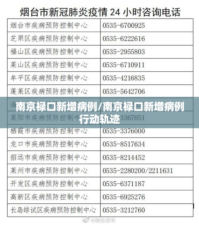 南京禄口新增病例/南京禄口新增病例行动轨迹