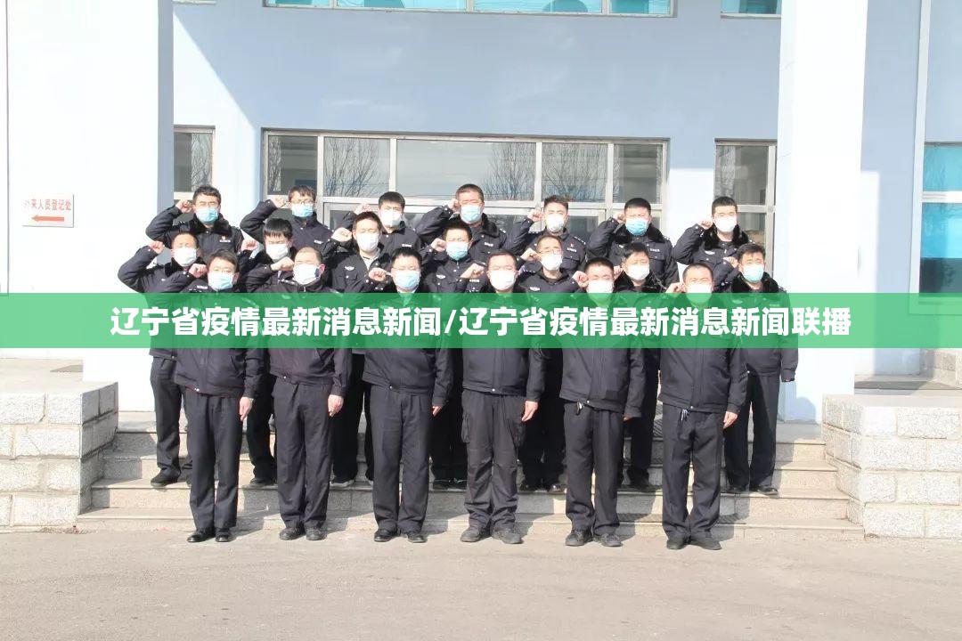 辽宁省疫情最新消息新闻/辽宁省疫情最新消息新闻联播