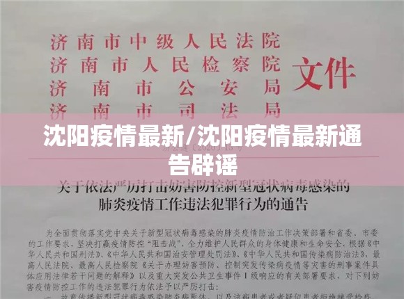 沈阳疫情最新/沈阳疫情最新通告辟谣