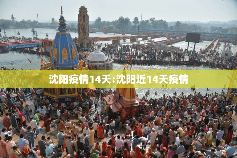 沈阳疫情14天:沈阳近14天疫情