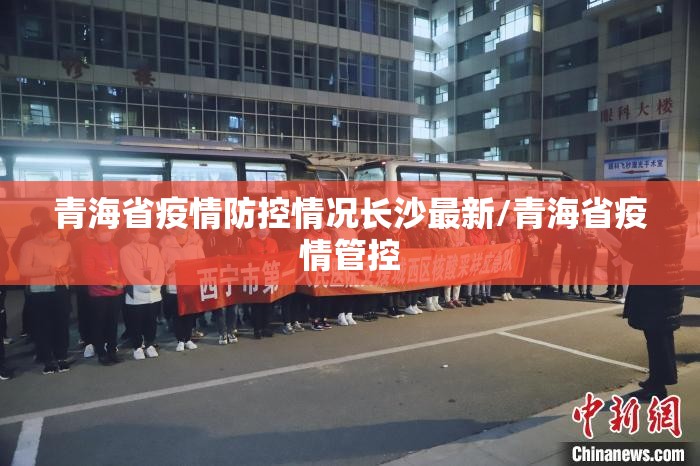 青海省疫情防控情况长沙最新/青海省疫情管控