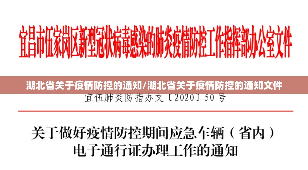 湖北省关于疫情防控的通知/湖北省关于疫情防控的通知文件