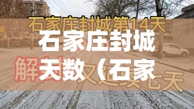 石家庄封城天数（石家庄大概封城多少天）