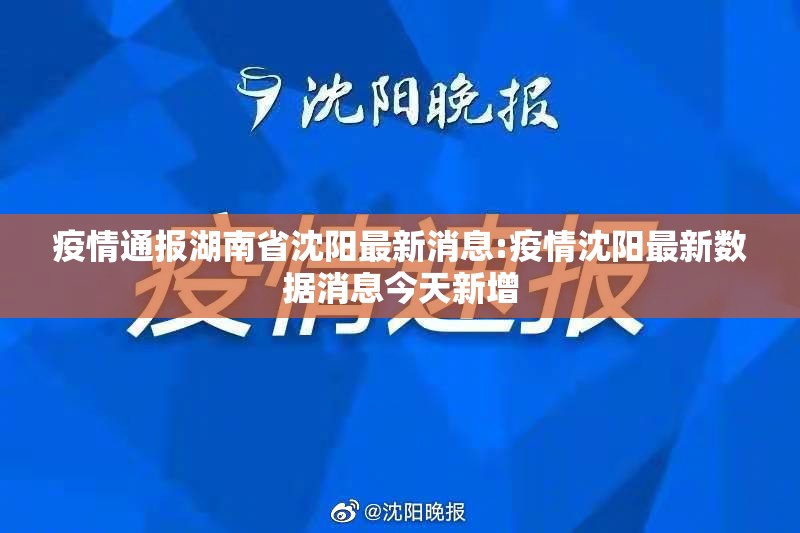 疫情通报湖南省沈阳最新消息:疫情沈阳最新数据消息今天新增