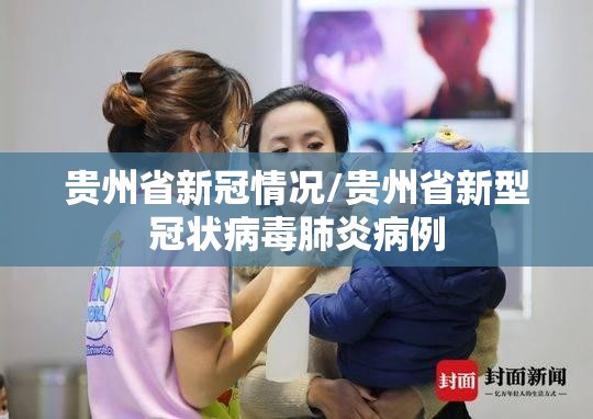 贵州省新冠情况/贵州省新型冠状病毒肺炎病例