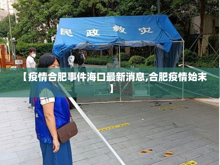 【疫情合肥事件海口最新消息,合肥疫情始末】